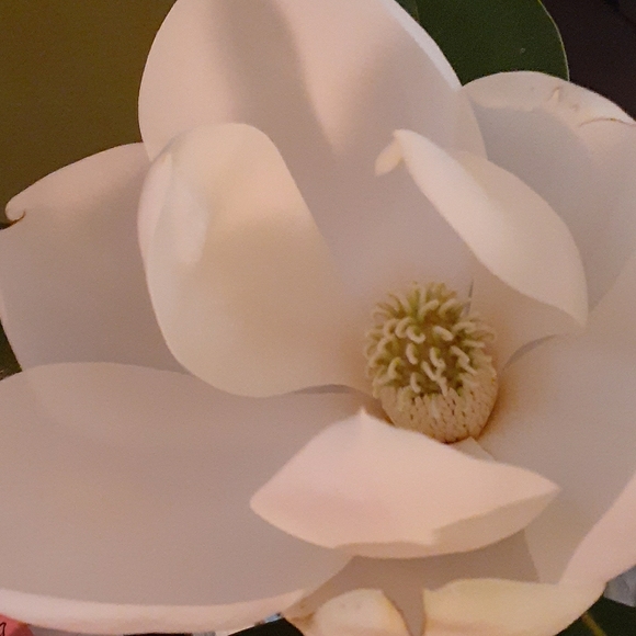 Girls and Womens clothes and shoes just for you. - Picture 2 of 4